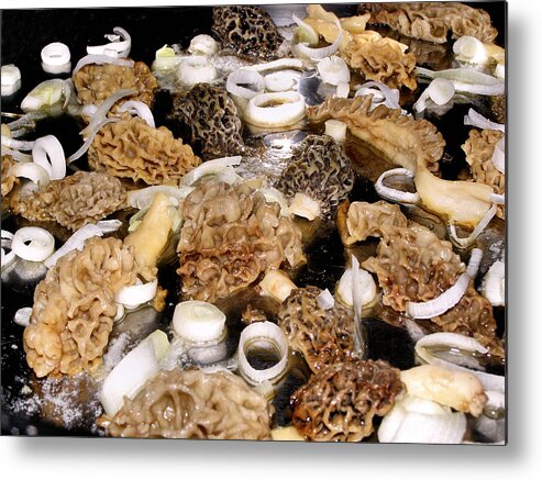 Morel Metal Print featuring the photograph Season's First - Morel Mushrooms by Angie Rea
