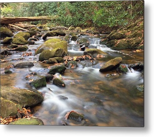 Creek Metal Print featuring the photograph Secluded by Richie Parks