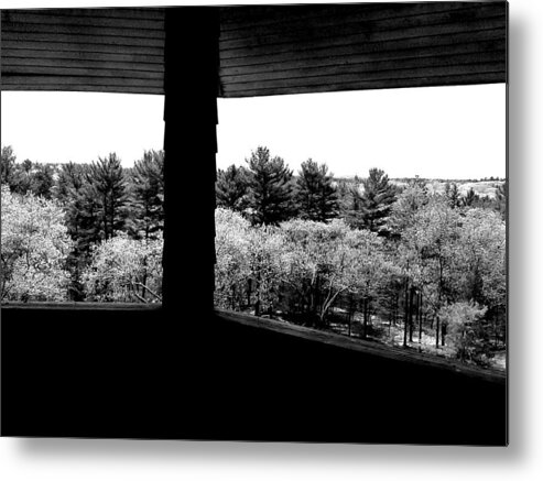 Forest Metal Print featuring the photograph Shade And Splendor by Andy Rhodes