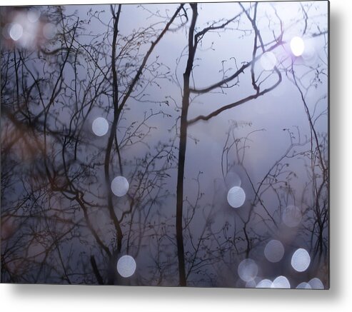 Water Metal Print featuring the photograph Shadow Forest by Jessica Myscofski