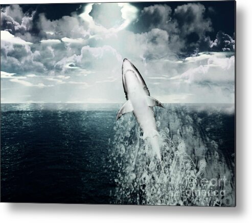 Shark Metal Print featuring the photograph Shark Watch by Digital Art Cafe