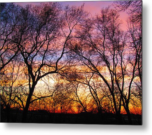 Photograph Metal Print featuring the photograph Silhouette Sunset 43017 by Delynn Addams
