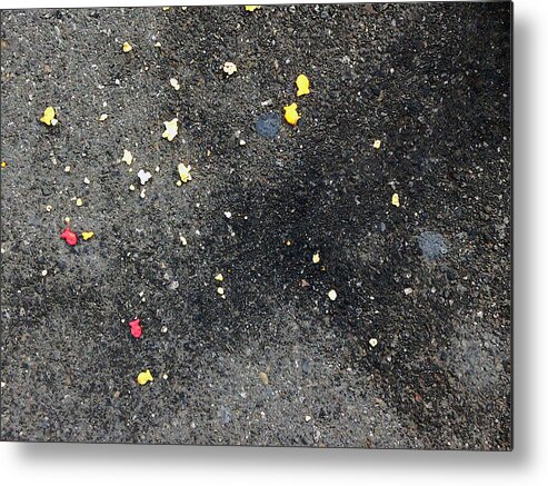 Snacks Metal Print featuring the photograph Snacks on Macadam by Stan Magnan