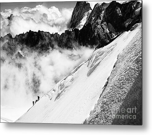 Snow Metal Print featuring the photograph Snowdown by Jack Torcello