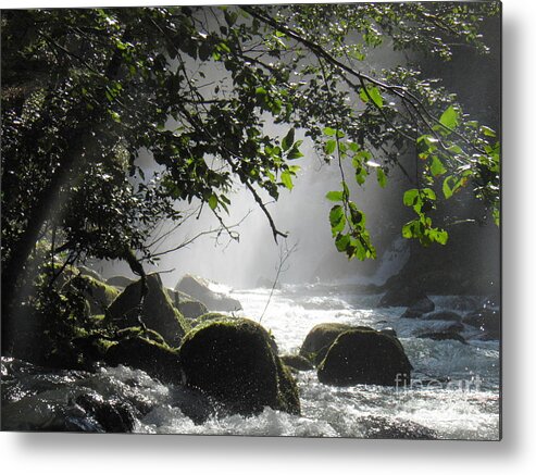 River Falls Rocks Moss Trees Leaves Water Light Shadow Green White Grey Black Brown Mist Branches Foam Shiny Landscape Sunlight Metal Print featuring the photograph Solace by Ida Eriksen