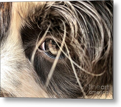 Puppy Metal Print featuring the photograph Soulful Eyes by Laura Forde