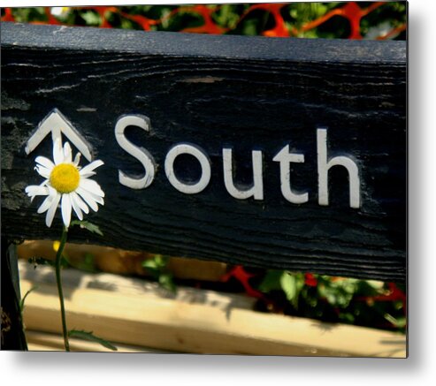 South Metal Print featuring the photograph South by Roberto Alamino