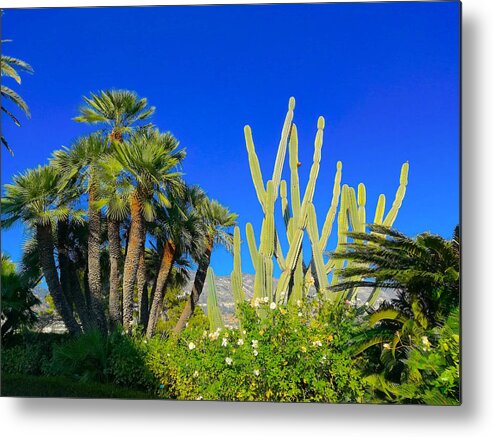 Southernfranceprint Metal Print featuring the photograph Southern France Beauty by Monique Wegmueller