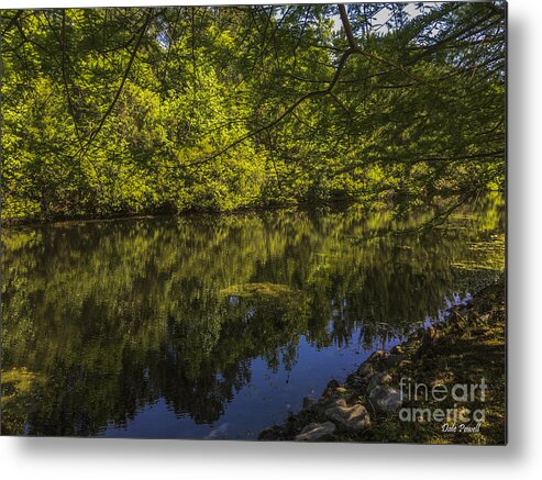 Pond Metal Print featuring the photograph Southern Still Waters by Dale Powell