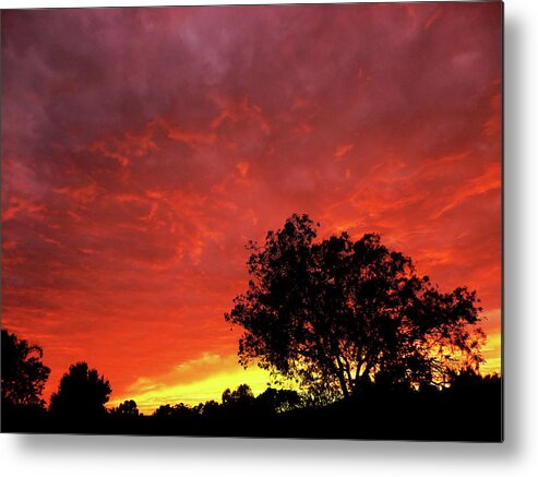 Sunset Metal Print featuring the photograph Southern Sunset by Mark Blauhoefer