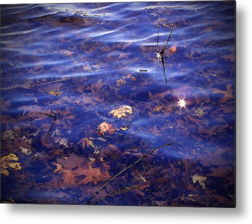 Cedric Hampton Metal Print featuring the photograph Sparkling Shore by Cedric Hampton