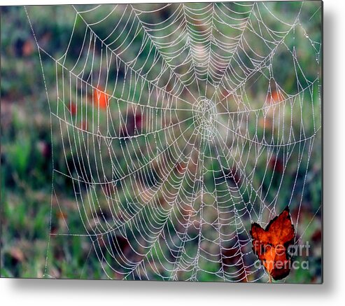 Spider Web Metal Print featuring the photograph Spider Web in Autumn by Janice Drew