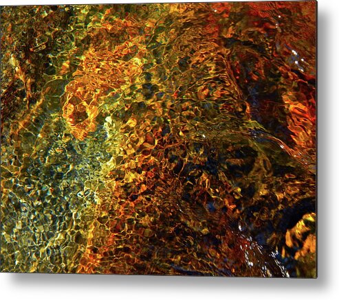 Color Close-up Landscape Metal Print featuring the photograph Spring 2017 124 by George Ramos