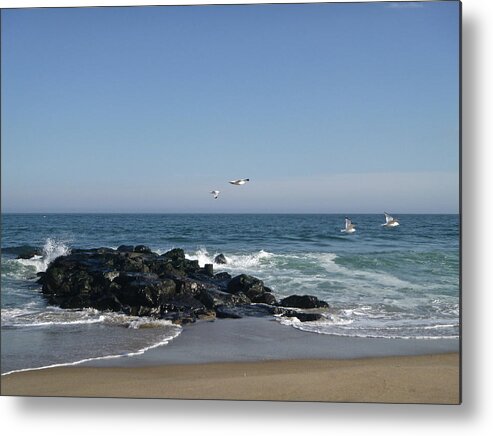 Spring Sea Metal Print featuring the photograph Spring Color by Ellen Paull