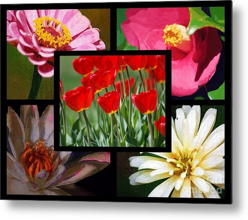 Spring Metal Print featuring the photograph Spring by Donna Bentley