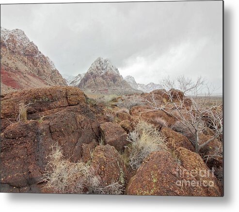 Spring Mountain Ranch Metal Print featuring the photograph Spring Mountain Ranch by Balanced Art