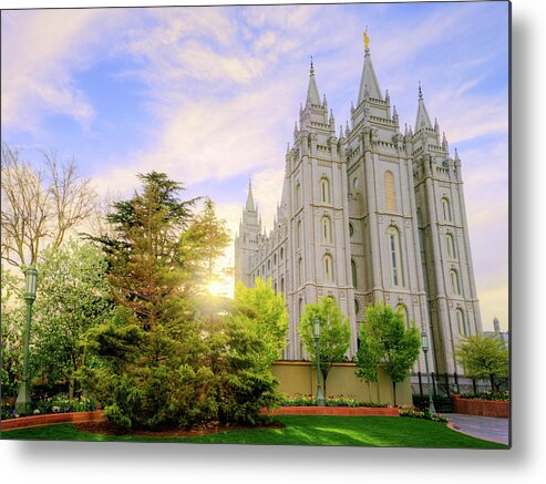 Salt Lake Metal Print featuring the photograph Spring Rest by Chad Dutson