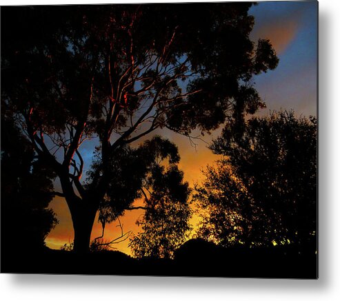Sunrise Metal Print featuring the photograph Spring Sunrise by Mark Blauhoefer