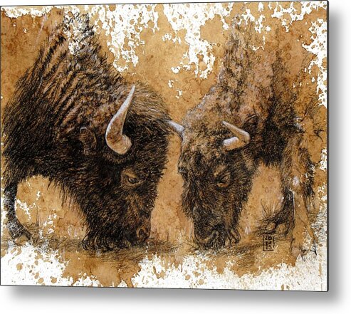 Buffalo Metal Print featuring the drawing Springtime Nosh by Debra Jones