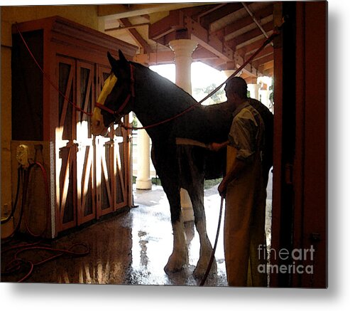 Horse Metal Print featuring the photograph Stable Groom - 1 by Linda Shafer