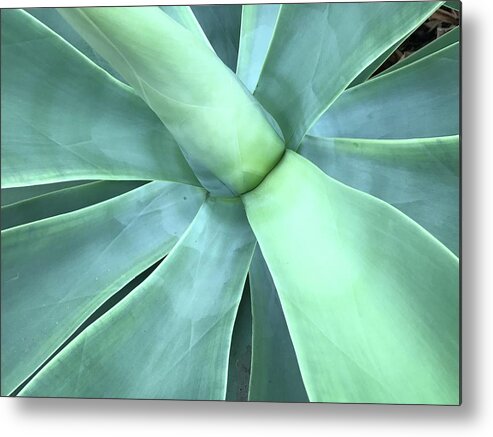 Flowers Metal Print featuring the photograph Stalk 2 by Jean Wolfrum
