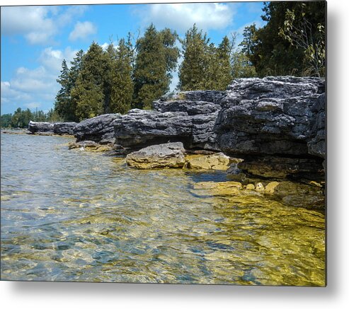 Landscape Metal Print featuring the photograph Stalwart Shore by Terry Ann Morris