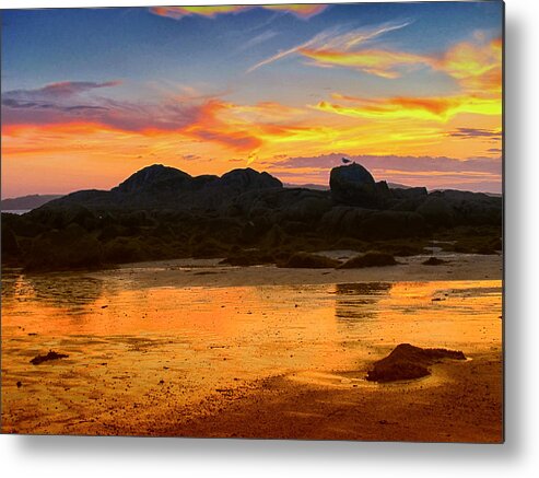 Birds Metal Print featuring the photograph Standing Guard by Mark Egerton