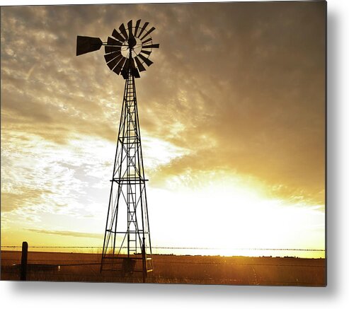 Agriculture Metal Print featuring the photograph Standing Tall by Scott Cordell