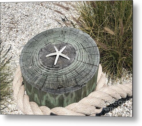 Coastal Metal Print featuring the photograph Starfish by the Sea by Carol Riddle