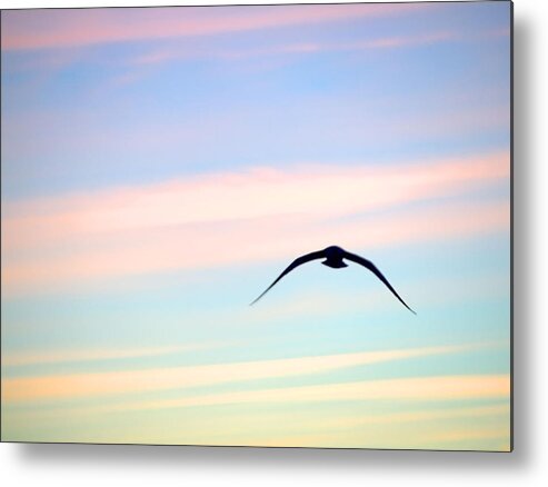 Gull Metal Print featuring the photograph Stealth by Newwwman
