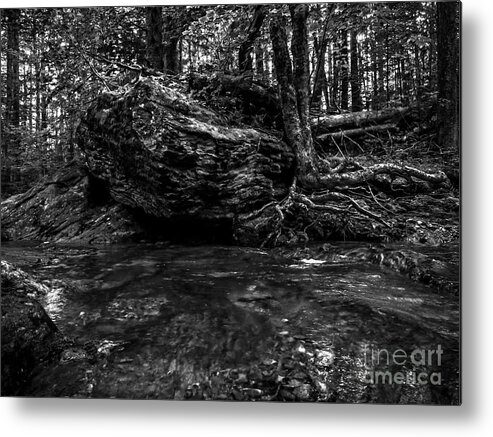 River Metal Print featuring the photograph Stevensville Brook in Underhill, Vermont - 1 BW by James Aiken