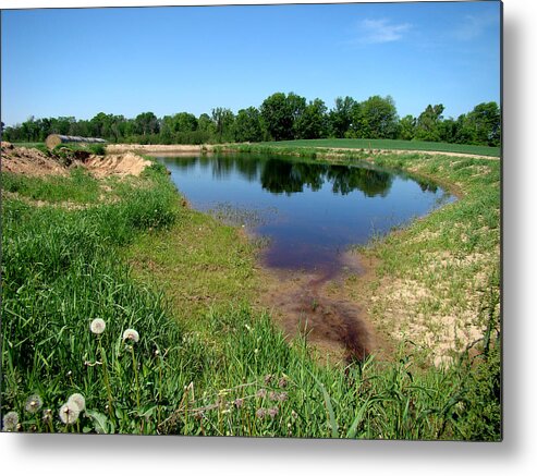 Landscape Metal Print featuring the photograph Still Pond Reflections by Todd Zabel