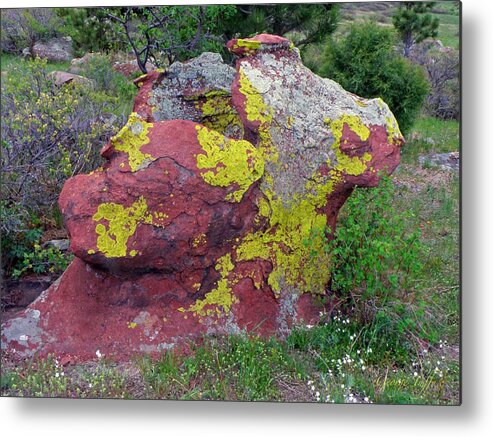 Stone Boulder Colorado Rocks Colorful Lichen Mesa Trail Simplicity Spring Metal Print featuring the photograph Stone sculpture by George Tuffy