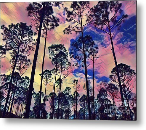 Landscape Metal Print featuring the photograph Storybook Forest by Carol Riddle