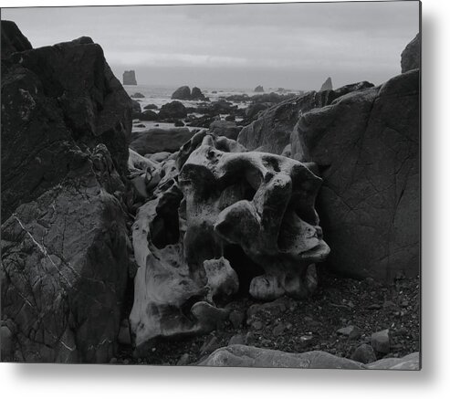 Nature Metal Print featuring the photograph Stranded by Vincent Green
