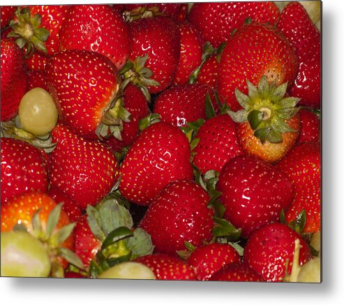 Food Metal Print featuring the photograph Strawberries 731 by Michael Fryd