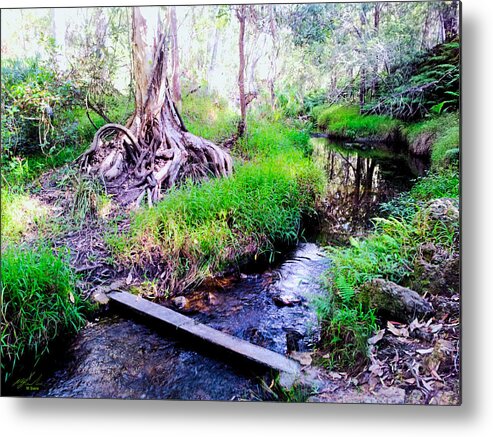 Landscape Metal Print featuring the photograph Stream Crossing by Michael Blaine