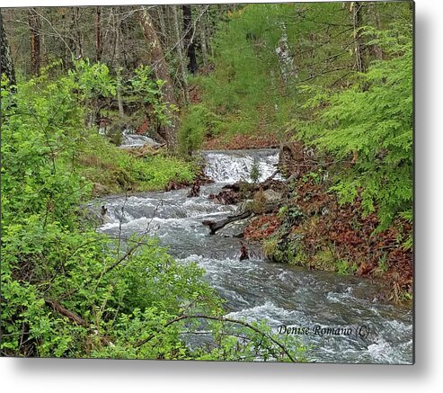 Stream Metal Print featuring the photograph Stream in the Woods by Denise Romano