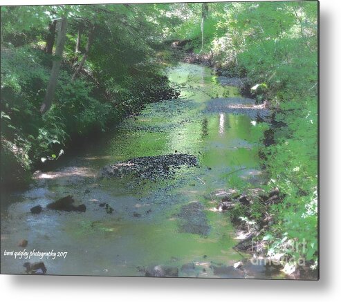 Landscapes Metal Print featuring the photograph Streaming Summer Afternoon by Tami Quigley