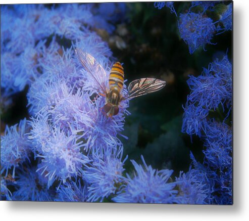 Stripes Metal Print featuring the photograph Stripes and Blues by Andy Davis