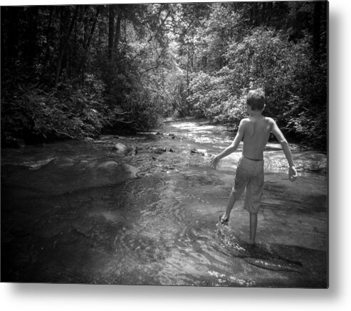 Kelly Hazel Metal Print featuring the photograph Summertime in the Blue Ridge Mountains by Kelly Hazel