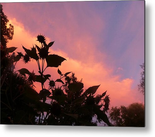 Sunset Metal Print featuring the photograph Sunset in Chatfield by Rosanne Licciardi