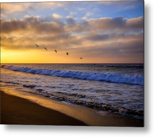 Newport Beach Metal Print featuring the photograph Sunrise Flight by Pamela Newcomb
