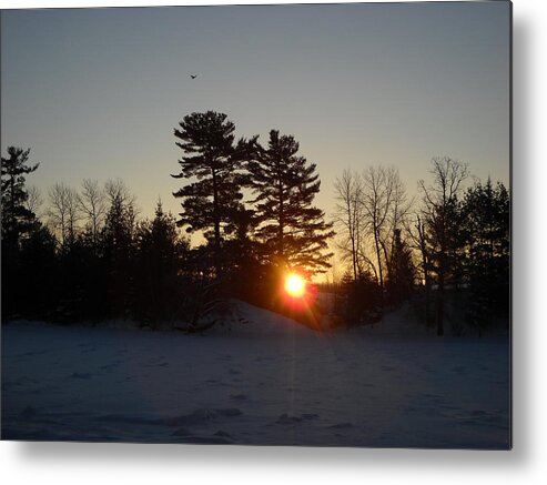Mississippi River Metal Print featuring the photograph Sunrise Under Pine Tree by Kent Lorentzen
