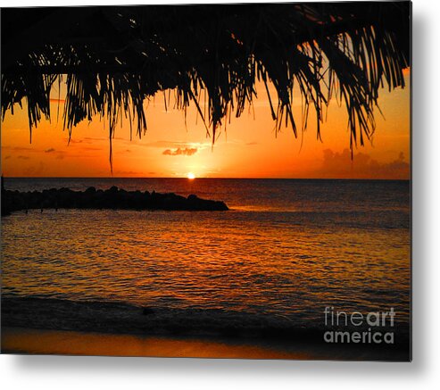 Sunset Metal Print featuring the photograph Sunset and Fronds by Mafalda Cento
