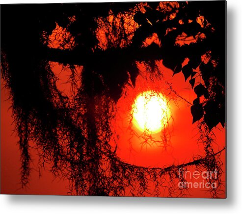 Louisiana Sunset Metal Print featuring the photograph Sunset in Moss Tree by Luana K Perez