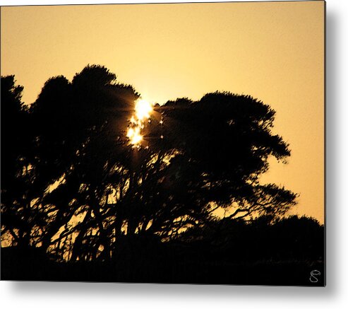 Tree Metal Print featuring the digital art Sunset Silhouette II by Creative Solutions RipdNTorn
