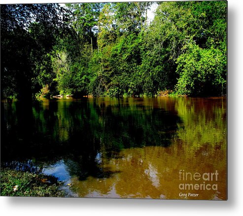Patzer Metal Print featuring the photograph Suwannee River by Greg Patzer
