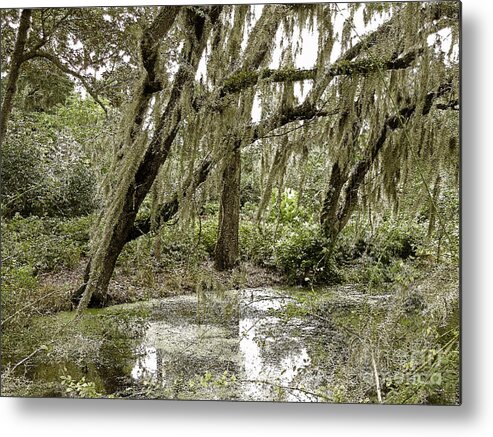  Metal Print featuring the photograph Swampy Patch by Lydia Holly