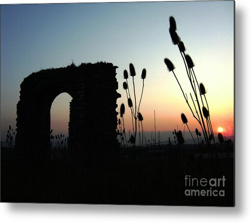 Sunset Metal Print featuring the photograph Teasels in the sun by Joe Cashin